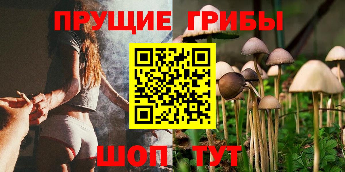 Галлюциногенные грибы Cubensis  магазин продажи наркотиков  Грозный  Вход с VPN 