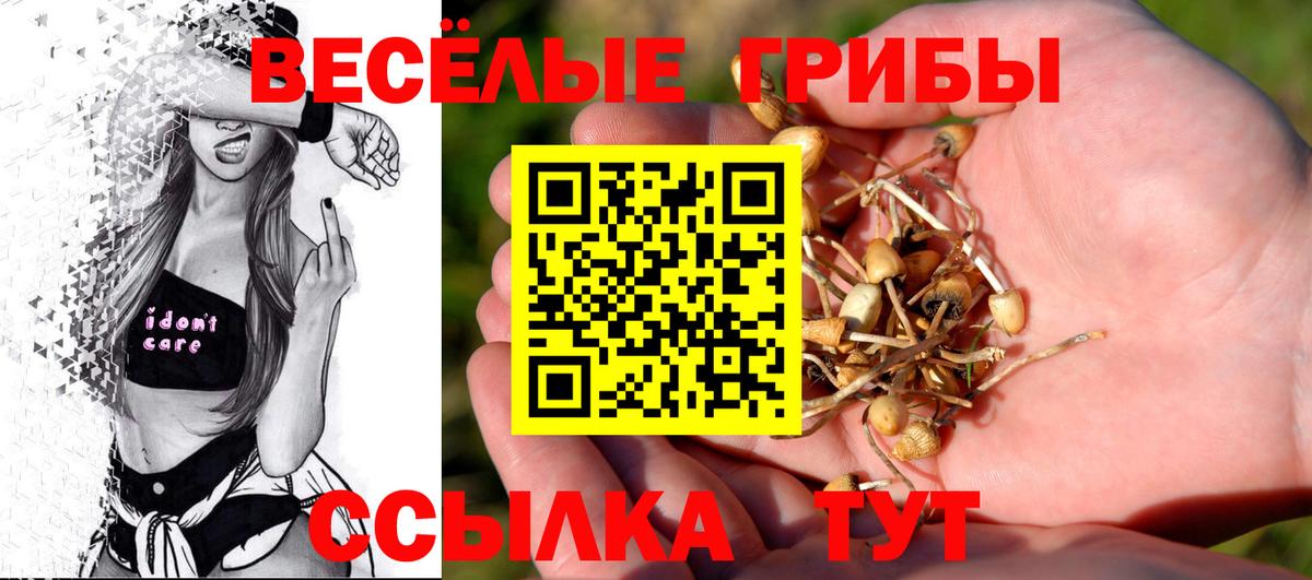 Псилоцибиновые грибы Magic Shrooms Грозный
