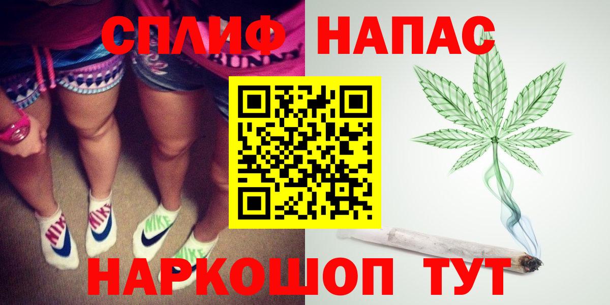 Бошки Шишки план Грозный